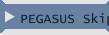 PEGASUS Skiper 50